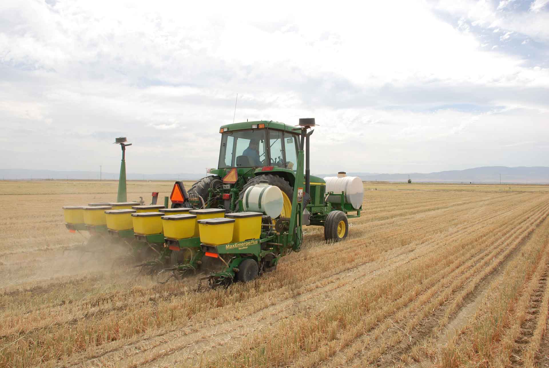 Direct seeding corn into wheat stubble