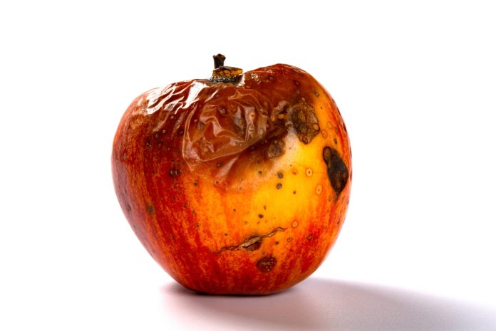 Decaying Apple Decaying Apple