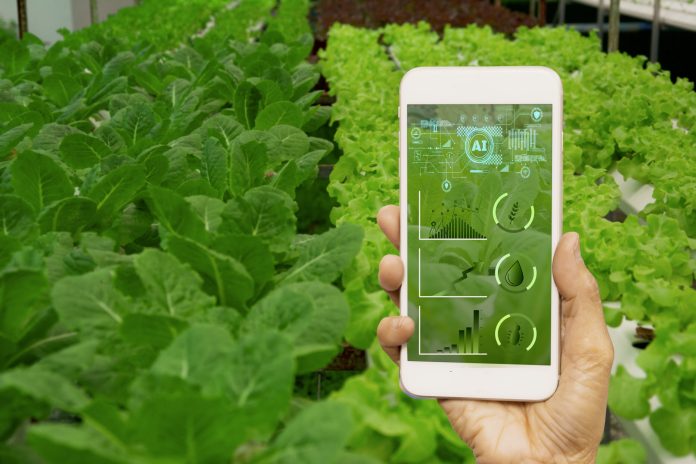 Smart,Farmer,Holding,Smartphone,farm,Background,concept,Agricultural,Product,Control,With,Artificial