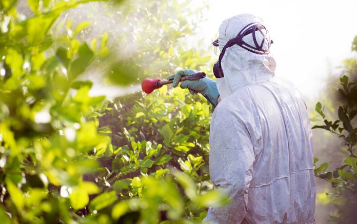 Spraying Spraying