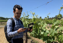 New Tools for Monitoring Vineyard Nitrogen